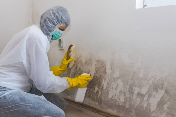 Mold Remediation for Vacation Homes in Grenelefe, FL