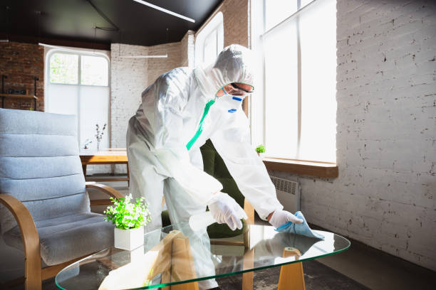 Professional Mold Removal & Remediation in Grenelefe, FL